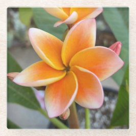 Underlägg, glas - Plumeria
