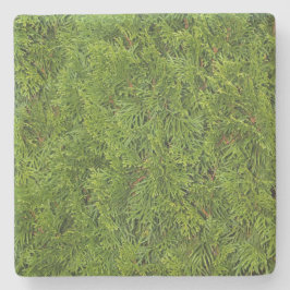 underlägg grönt Kantlister-ruta