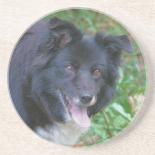 Underlägg med att le Gräns Collie Hund Drink