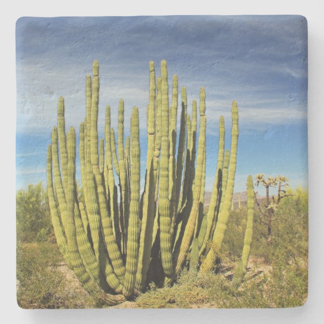 Underlägg med fyrkantig sten i Arizona (Framsidan)