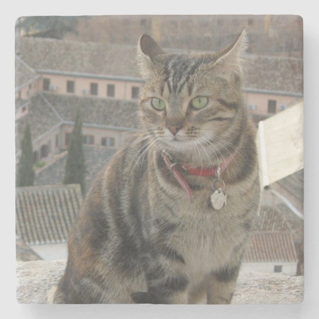 Underlägg med klatfotomarkörklon sten (Framsidan)