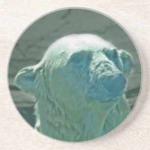 Underlägg polar Bear Sandsten