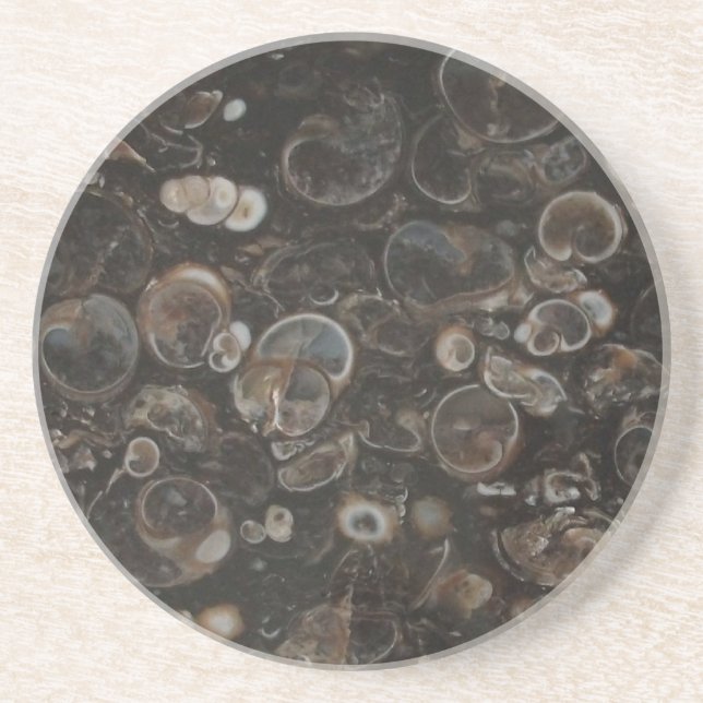 Underlägg polerad Sten-utskrift (Turritella Agate) (Framsidan)