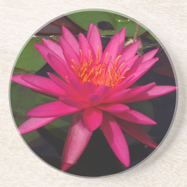 Underlägg - rosa vatten lily (Framsidan)