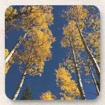 Underlägg som ger en smak av färglöst färgämne