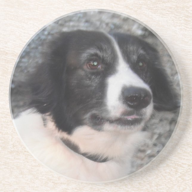 Underlägg Sprollie Smiling (Framsidan)