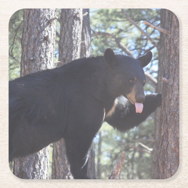 Underlägg svart pärldryck papper kvadrat (Framsidan)