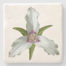 Underlägg Trillium Vår Wildblomsten Stone