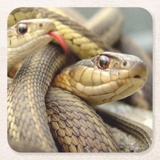 Underlägg uppsättning för ögonblicksbilder av myck papper kvadrat (Framsidan)