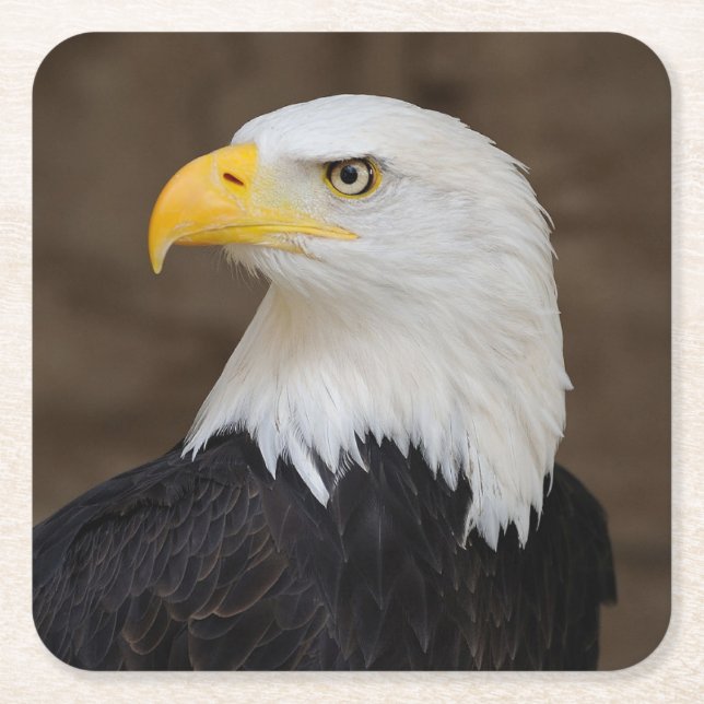 Underlägg uppsättning för vacker örfil papper kvadrat (Framsidan)