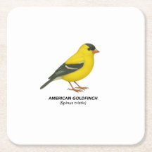 Underlägg uppsättning