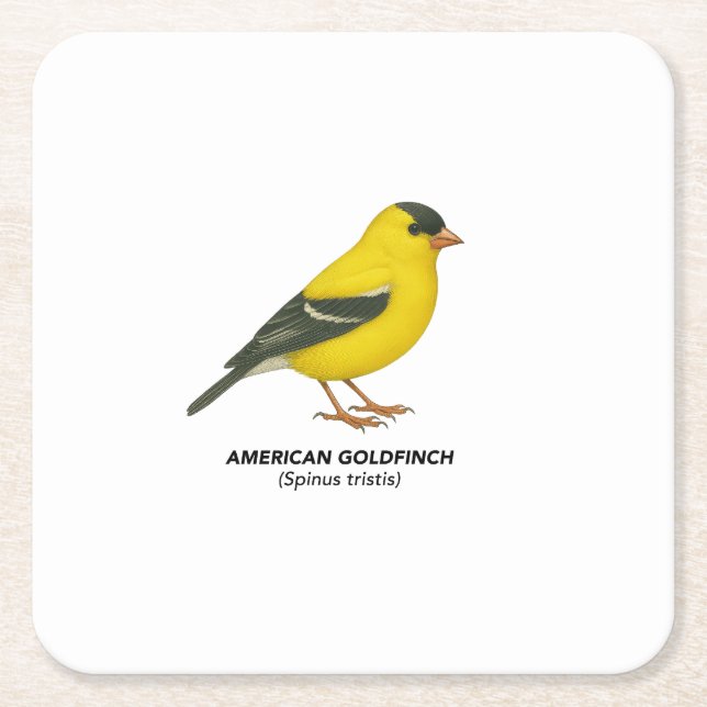 Underlägg uppsättning papper kvadrat (Framsidan)