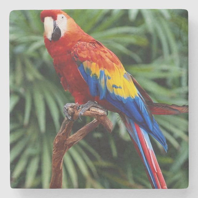 Underlägg vacker Macaw Stone (Framsidan)
