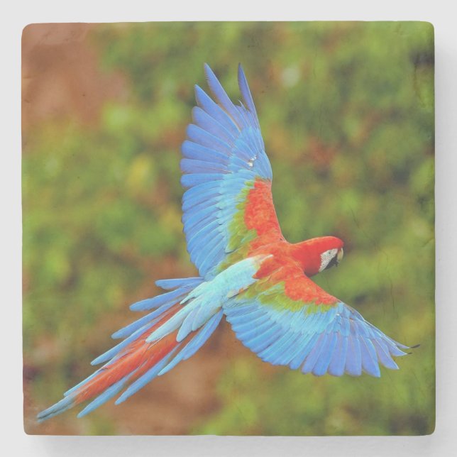 Underlägg vacker Macaw Stone (Framsidan)