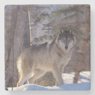 Underlägg varg Stone