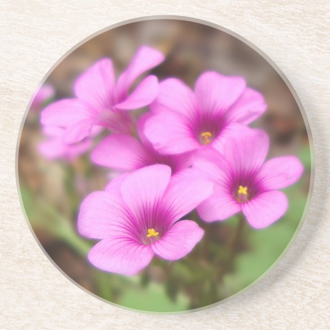 Underlägg vid min dörr (Framsidan)