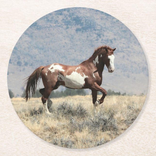 Underlägg vild Stallion (Framsidan)