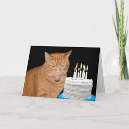 Underlig kattfödelsedag kort