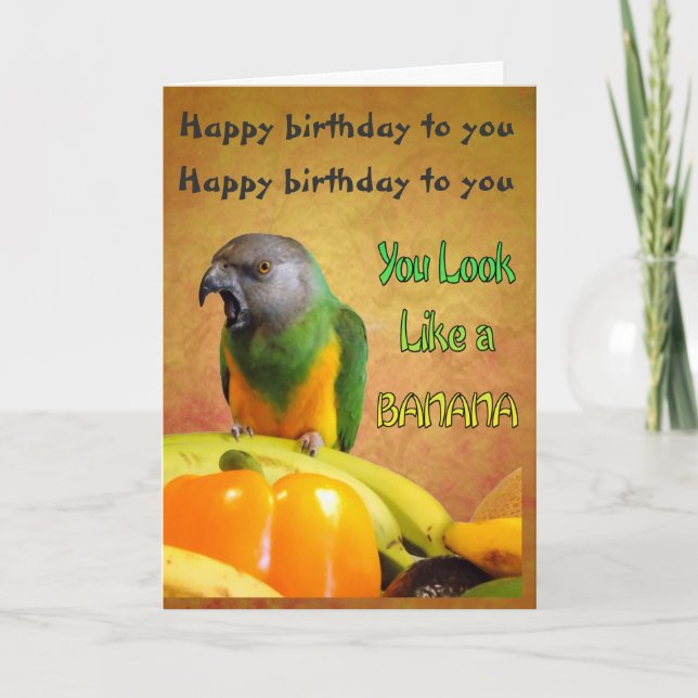 Underligt födelsedagskort för Senegal Parrot Kort (Framsida)