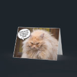 Underligt Grumpy Cat Birthday Greeting Card  Kort<br><div class="desc">Lustigt grumpy cat Birthday-hälsningskort för kattälskarna i ditt liv. Det här söta hälsningskortet är ett perfekt sätt att önska Grattis på födelsedagen till en vän,  medarbetare,  familjemedlem eller en speciell person.</div>