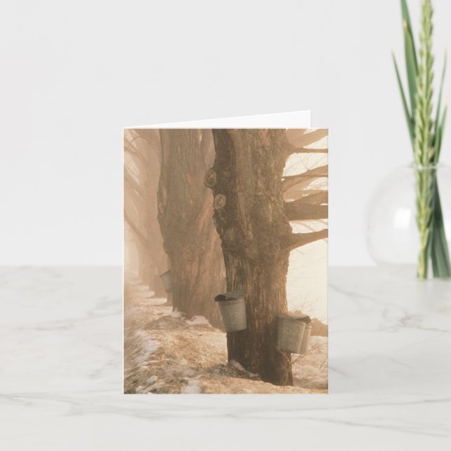 Underminera ösregnar noterar kortet kort (Framsida)