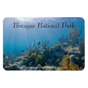 Undersea, Biscayne nationalpark Magnet