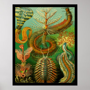 Undersea färg poster