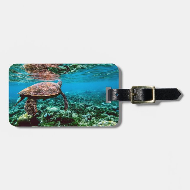 Undersea tropisk havssköldpadda bagagebricka (Horisontell Framsida)
