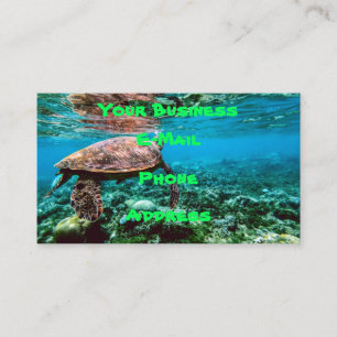 Undersea tropisk havssköldpadda visitkort
