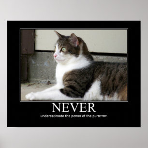 Underskatta aldrig kattkonstverk poster