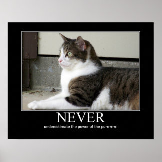 Underskatta aldrig tecknad katalog poster