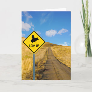 Underskrift för Gris Kort