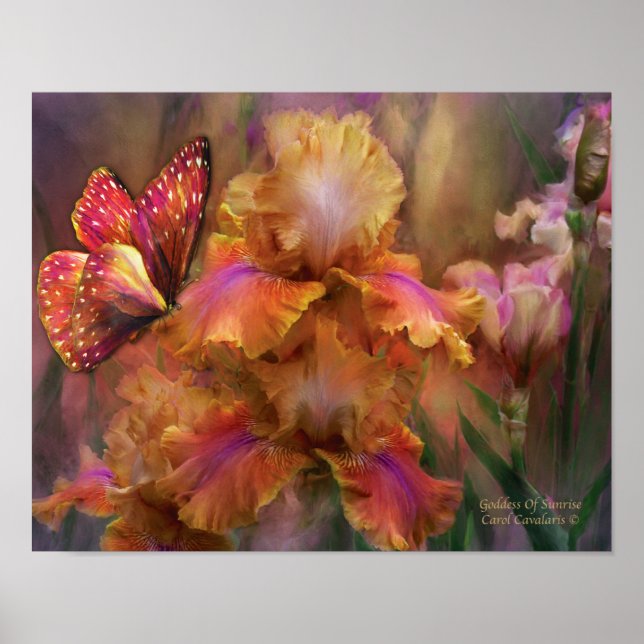 Underskrift för Poster/utskrift av soluppgång Poster (Framsidan)