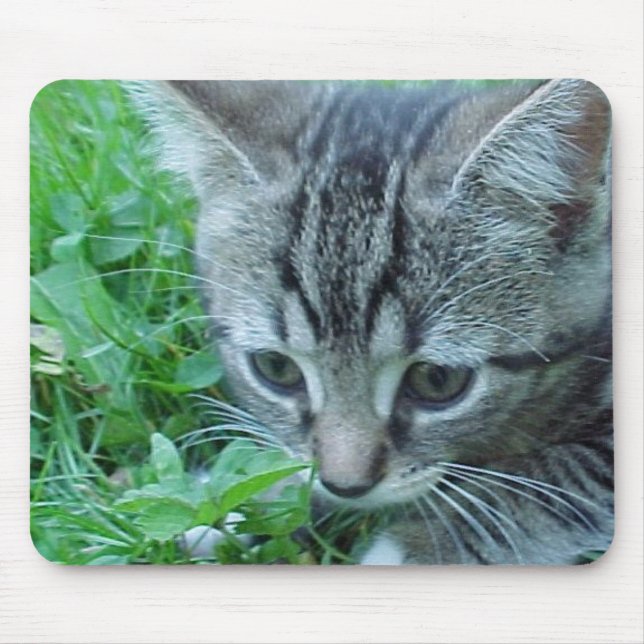 Undersök först musmatta (Framsidan)