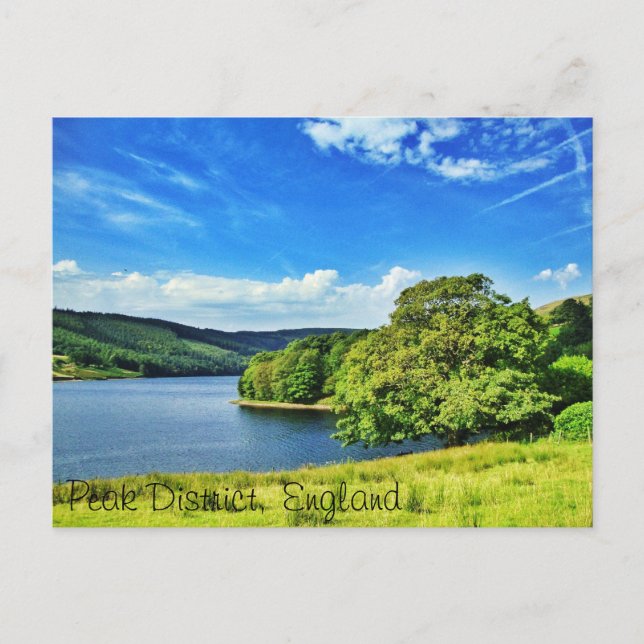 Undersök naturen! vykort (Framsida)