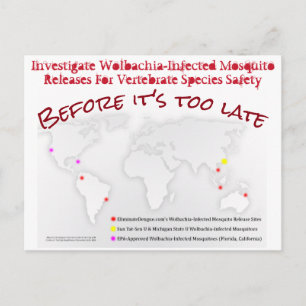 Undersök Wolbachia Postcard av RoseWrites Vykort