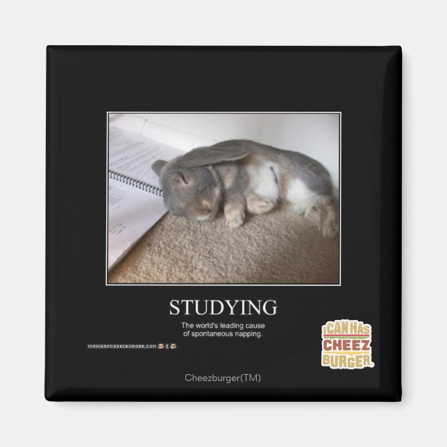 Undersökning Magnet (Framsidan)