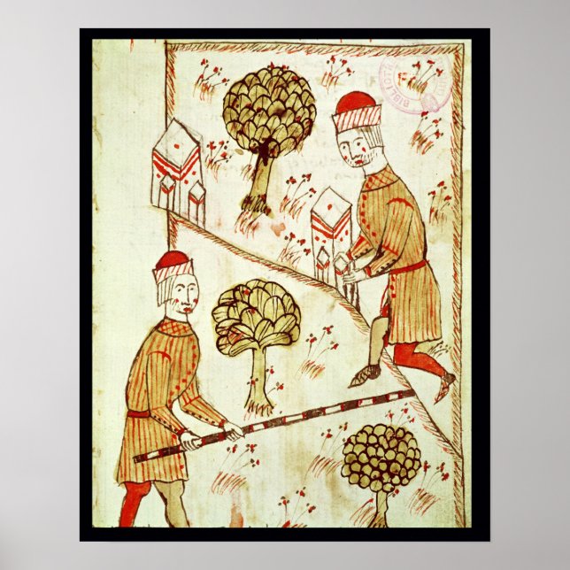 Undersökning och avgränsning av mark poster (Framsidan)