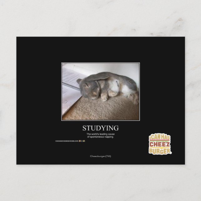 Undersökning Vykort (Framsida)