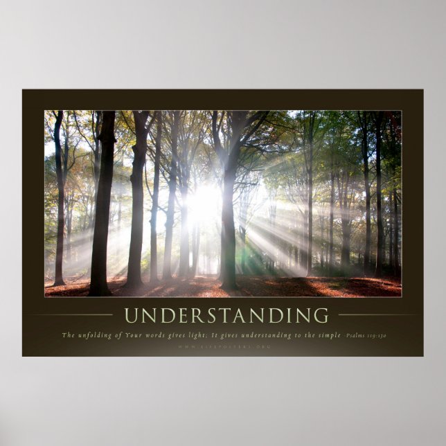 UNDERSTANDING - Christian Motivational Posters (Framsidan)