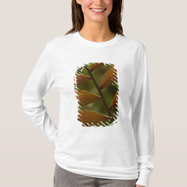 Understory palm detalj. Mindo Cloud Forest. T Shirt (Framsida)