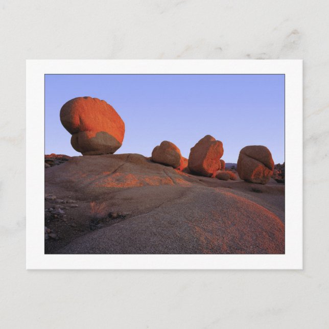 "Underteckna av fyra ", Vykort (Framsida)