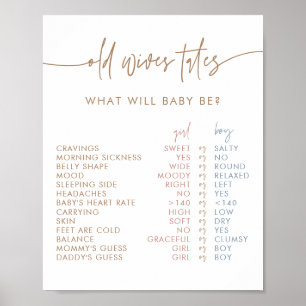 Undertecknet Gamla fruar Tales Boho Gender Revea Poster