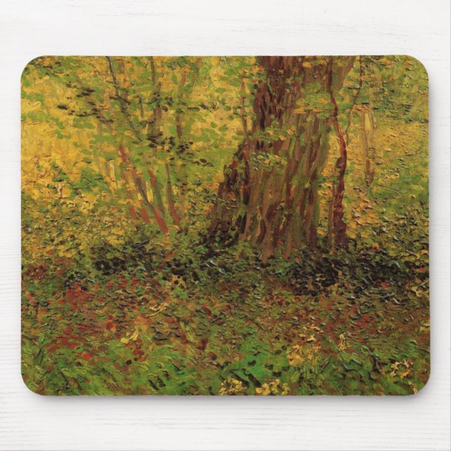 Undertillväxt av Vincent van Gogh Musmatta (Framsidan)