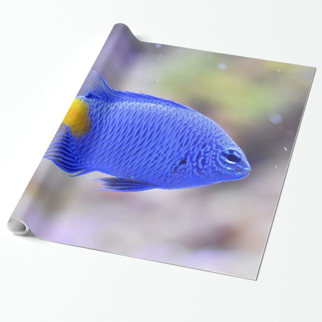 Undervatten 26 Papper för inkapsling Presentpapper (Utrullad)