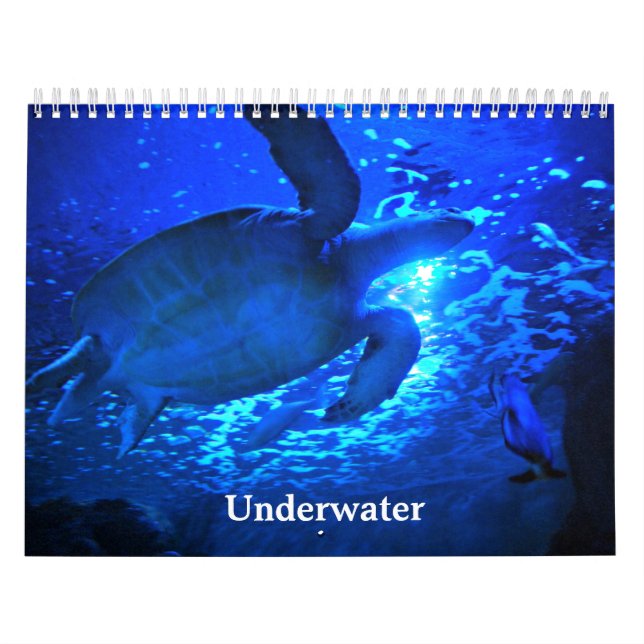 Undervatten Kalender (Omslag)