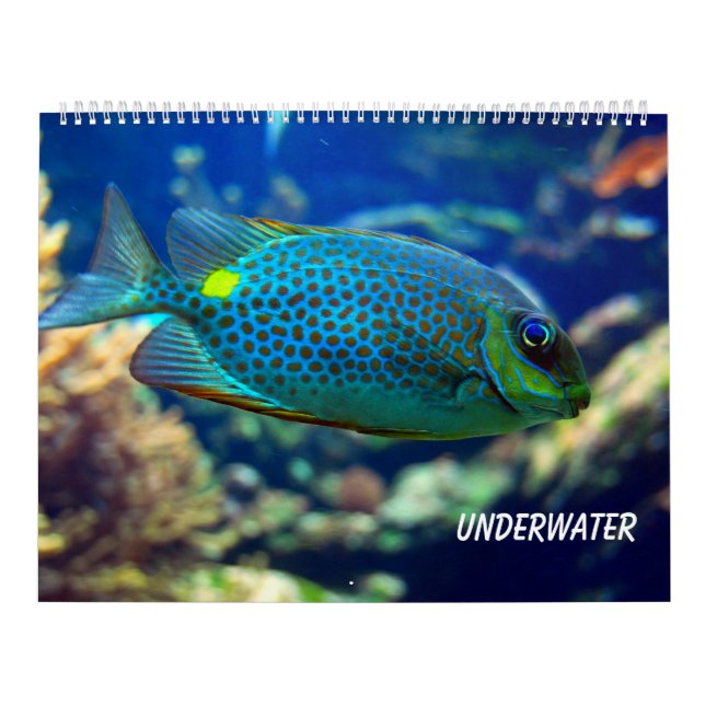 Undervatten Kalender (Omslag)