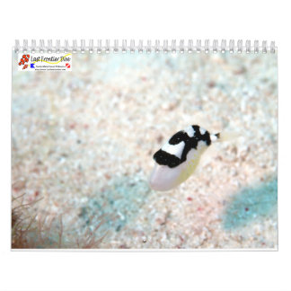 Undervatten till Siquijor S- L storlek Kalender