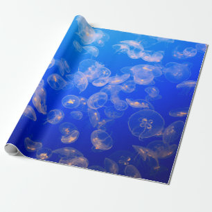 UNDERVATTENFOTOGRAFI AV JELLYFISH PRESENTPAPPER