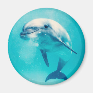 Undervattens- Bottlenosed delfin Magnet